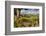 Farm Near Burnsall, Yorkshire Dales National Park, Yorkshire, England, United Kingdom, Europe-Miles Ertman-Framed Photographic Print