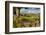 Farm Near Burnsall, Yorkshire Dales National Park, Yorkshire, England, United Kingdom, Europe-Miles Ertman-Framed Photographic Print