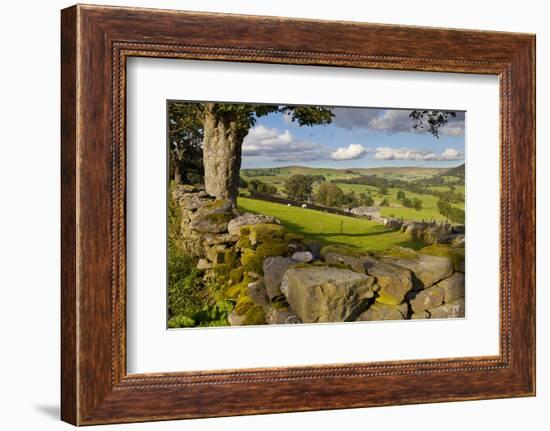 Farm Near Burnsall, Yorkshire Dales National Park, Yorkshire, England, United Kingdom, Europe-Miles Ertman-Framed Photographic Print