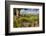 Farm Near Burnsall, Yorkshire Dales National Park, Yorkshire, England, United Kingdom, Europe-Miles Ertman-Framed Photographic Print