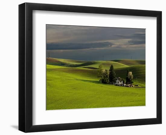 Farm near Colfax at Dusk, Palouse, Washington, USA-Charles Sleicher-Framed Photographic Print