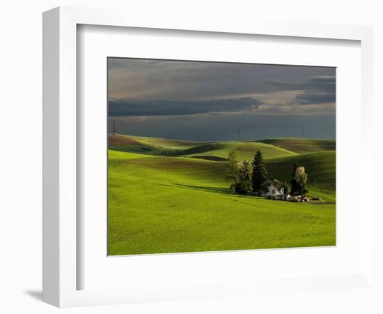 Farm near Colfax at Dusk, Palouse, Washington, USA-Charles Sleicher-Framed Photographic Print