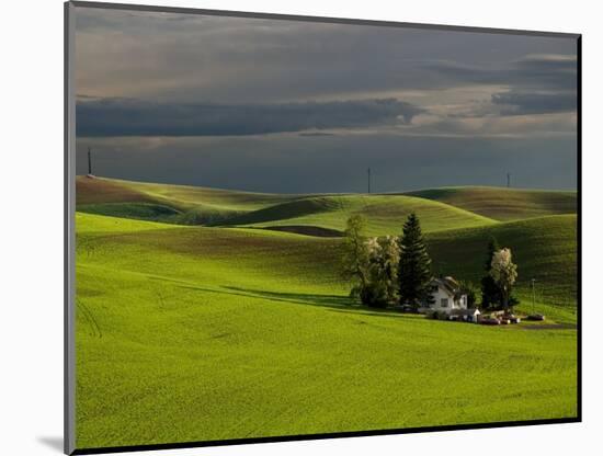 Farm near Colfax at Dusk, Palouse, Washington, USA-Charles Sleicher-Mounted Photographic Print