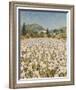Farm Near Guillaumes-Hazel Barker-Framed Giclee Print