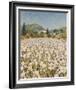 Farm Near Guillaumes-Hazel Barker-Framed Giclee Print