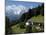 Farm Near Maria Gern and Watzmann, Berchtesgadener Land, Bavaria, Germany, Europe-Hans Peter Merten-Mounted Photographic Print