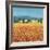 Farm Near Montefiorale-Hazel Barker-Framed Giclee Print