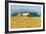 Farm Near Siena-Hazel Barker-Framed Giclee Print