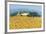 Farm Near Siena-Hazel Barker-Framed Giclee Print