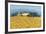 Farm Near Siena-Hazel Barker-Framed Giclee Print