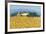 Farm Near Siena-Hazel Barker-Framed Giclee Print