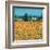 Farm Near Siena-Hazel Barker-Framed Art Print