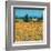 Farm Near Siena-Hazel Barker-Framed Art Print