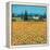 Farm Near Siena-Hazel Barker-Framed Stretched Canvas