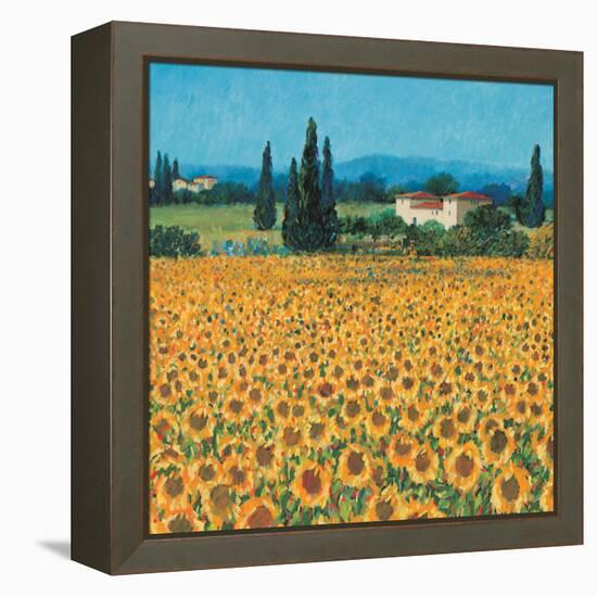 Farm Near Siena-Hazel Barker-Framed Stretched Canvas