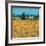 Farm Near Siena-Hazel Barker-Framed Premium Giclee Print