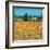 Farm Near Siena-Hazel Barker-Framed Premium Giclee Print