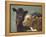 Farm Pals II-Carolyne Hawley-Framed Stretched Canvas