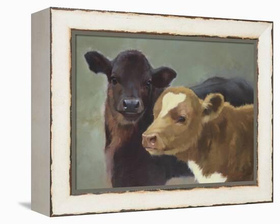 Farm Pals II-Carolyne Hawley-Framed Stretched Canvas