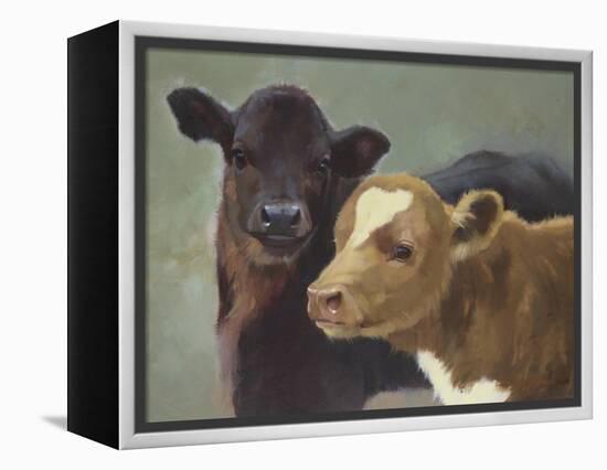 Farm Pals II-Carolyne Hawley-Framed Stretched Canvas