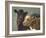 Farm Pals II-Carolyne Hawley-Framed Art Print