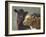 Farm Pals II-Carolyne Hawley-Framed Art Print