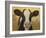 Farm Pals III-Carolyne Hawley-Framed Art Print