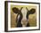 Farm Pals III-Carolyne Hawley-Framed Art Print