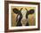 Farm Pals III-Carolyne Hawley-Framed Art Print