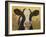 Farm Pals III-Carolyne Hawley-Framed Art Print