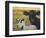 Farm Pals IV-Carolyne Hawley-Framed Art Print