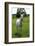 Farm, Pasture, Horse-Catharina Lux-Framed Photographic Print