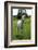 Farm, Pasture, Horse-Catharina Lux-Framed Photographic Print