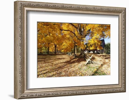 Farm Road Autumn Scenic, New Jersey-George Oze-Framed Photographic Print