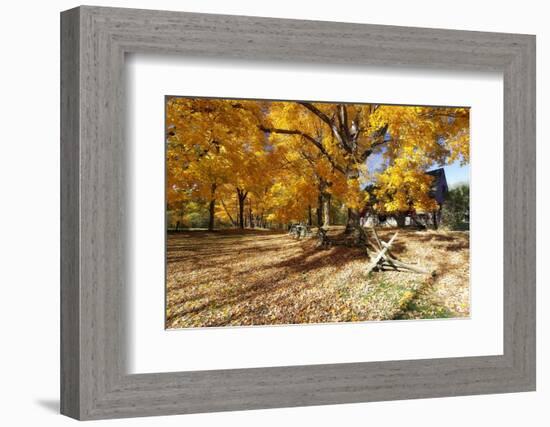 Farm Road Autumn Scenic, New Jersey-George Oze-Framed Photographic Print