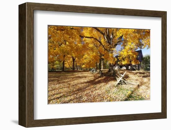 Farm Road Autumn Scenic, New Jersey-George Oze-Framed Photographic Print