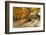 Farm Road Autumn Scenic, New Jersey-George Oze-Framed Photographic Print