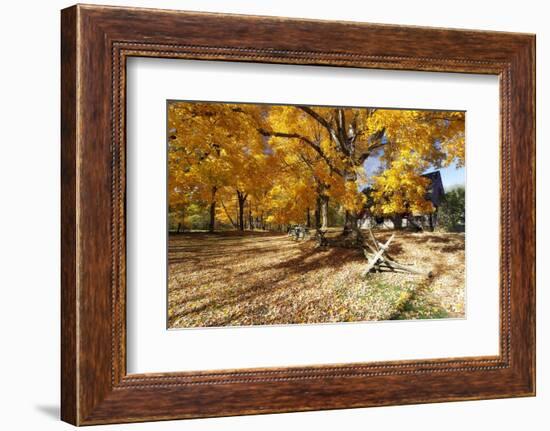 Farm Road Autumn Scenic, New Jersey-George Oze-Framed Photographic Print