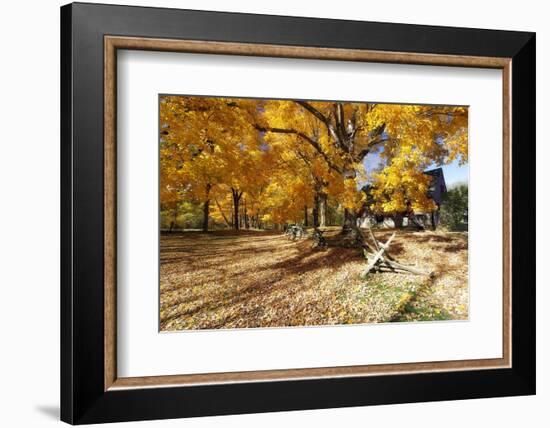 Farm Road Autumn Scenic, New Jersey-George Oze-Framed Photographic Print