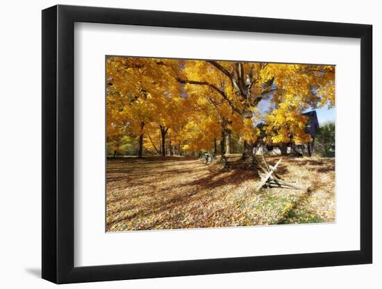 Farm Road Autumn Scenic, New Jersey-George Oze-Framed Photographic Print