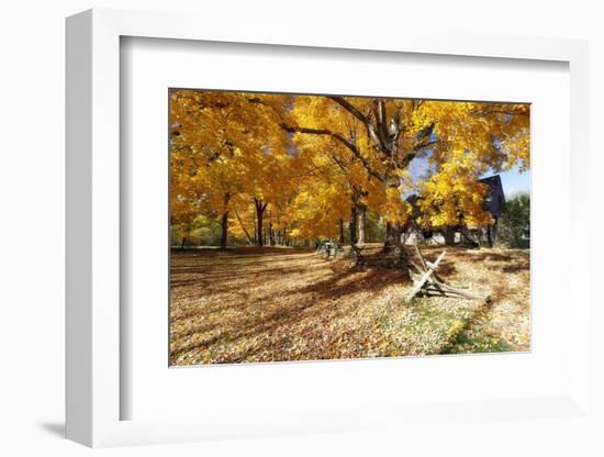 Farm Road Autumn Scenic, New Jersey-George Oze-Framed Photographic Print