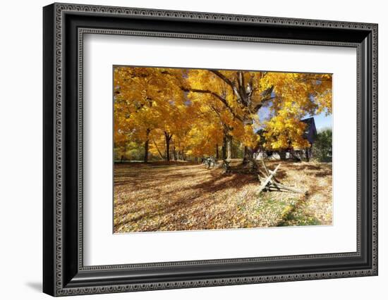 Farm Road Autumn Scenic, New Jersey-George Oze-Framed Photographic Print