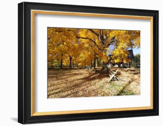 Farm Road Autumn Scenic, New Jersey-George Oze-Framed Photographic Print