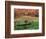 Farm Scene, Vermont, USA-Charles Sleicher-Framed Photographic Print