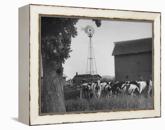 Farm Scenes of Farm Life in the Midwest-null-Framed Premier Image Canvas