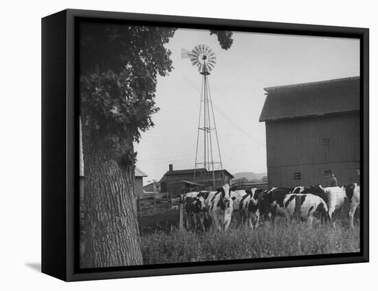 Farm Scenes of Farm Life in the Midwest-null-Framed Premier Image Canvas