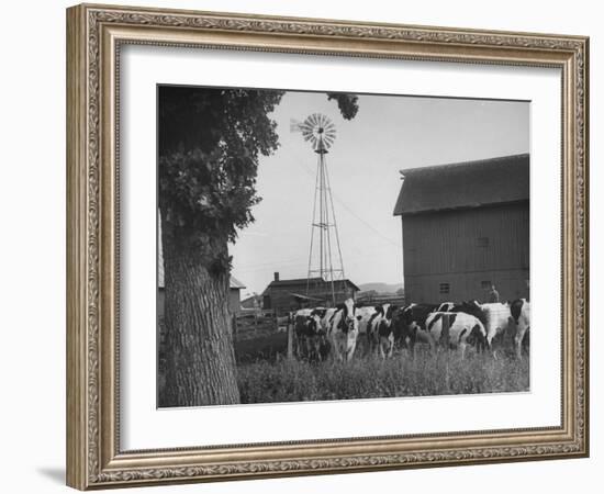 Farm Scenes of Farm Life in the Midwest-null-Framed Photographic Print