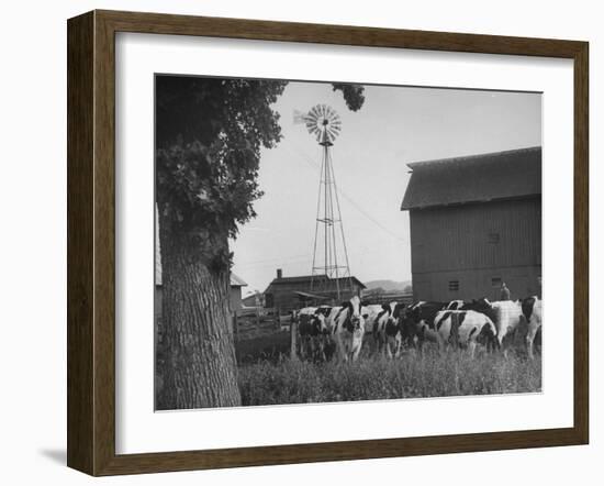 Farm Scenes of Farm Life in the Midwest-null-Framed Photographic Print