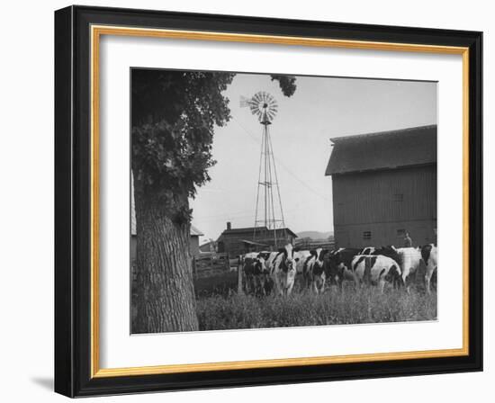 Farm Scenes of Farm Life in the Midwest-null-Framed Photographic Print