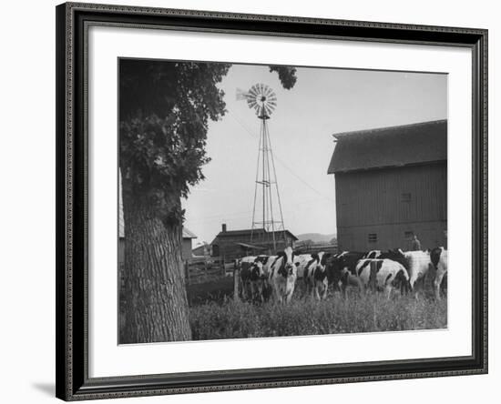 Farm Scenes of Farm Life in the Midwest-null-Framed Photographic Print